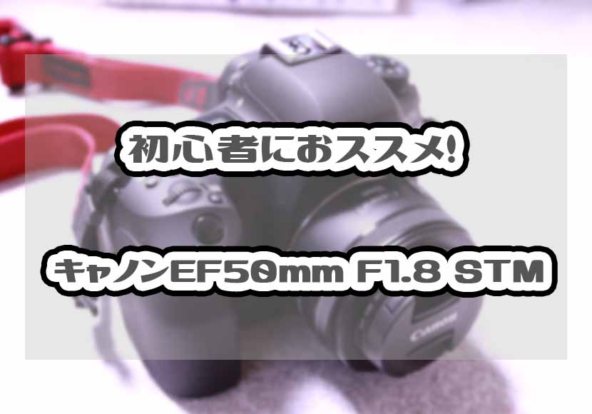 キヤノンEF50mm F1.8 STM単焦点レンズを初心者におススメする４つの理由｜あまぼしすずめは働かない