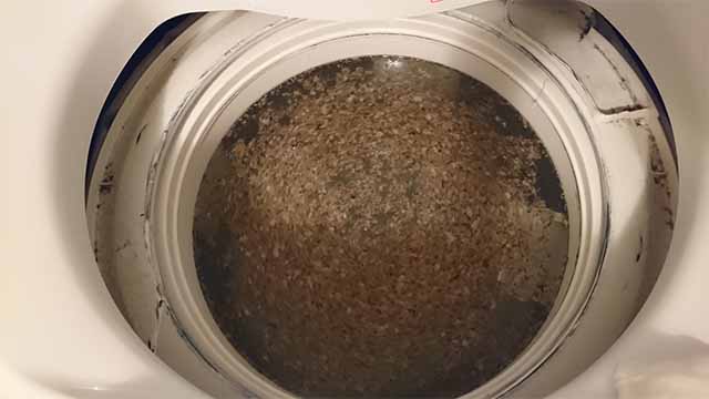 酸素系漂白剤で洗濯槽を掃除する