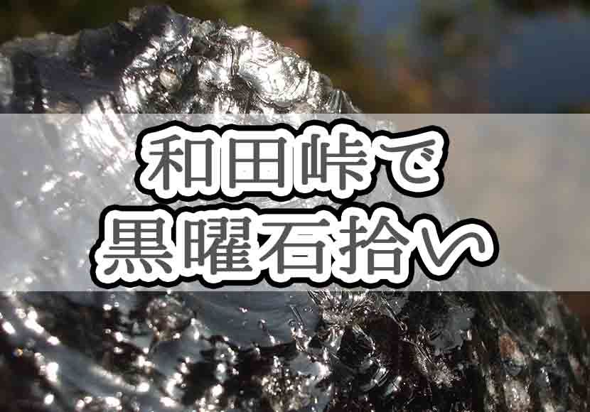 和田峠 長野 での黒曜石採取と東餅茶屋跡の廃墟を尋ねて あまぼしすずめは働かない