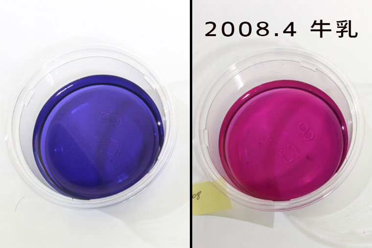 紫キャベツの液性実験