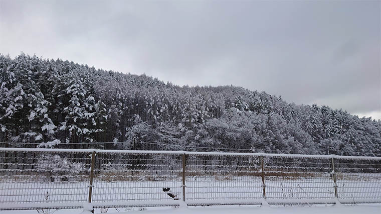 辰野町の雪景色
