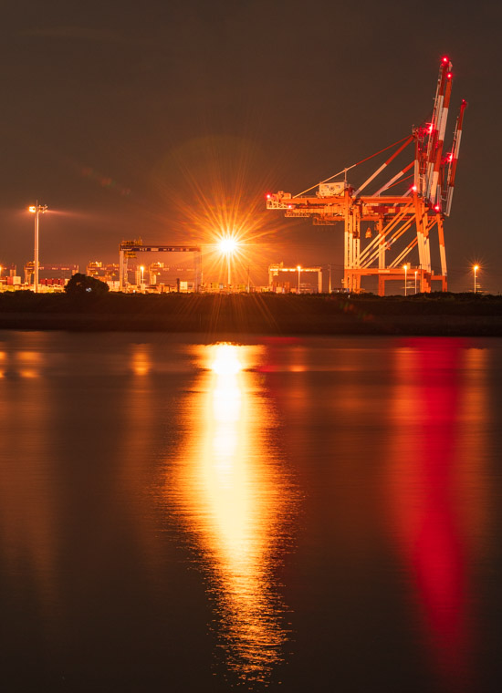 富双緑地の夜景