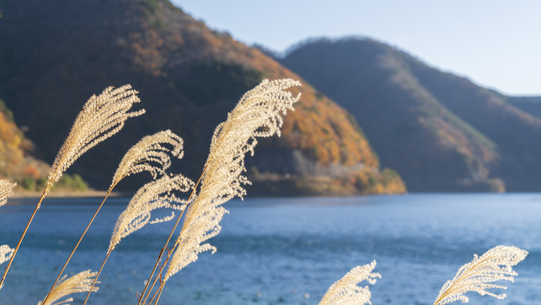 ゆるキャン△1話、本栖湖と浩庵キャンプ場