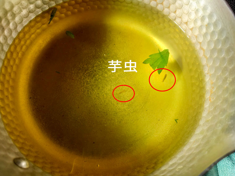 よもぎを茹でたあとの汁
