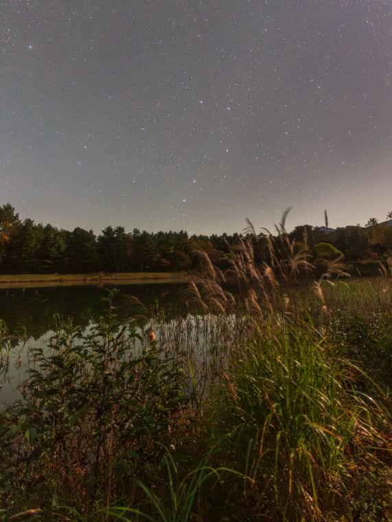 まるやち湖の星空