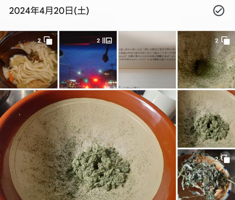 よもぎづくり