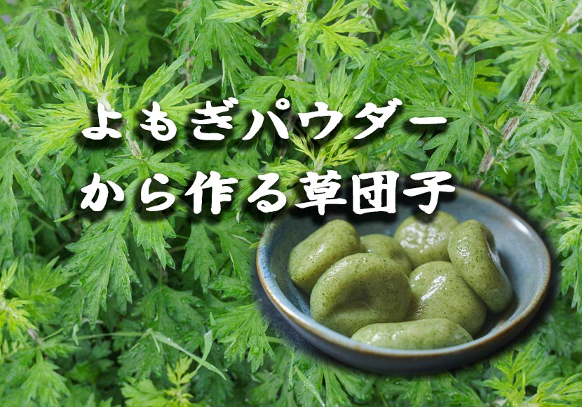 ヨモギの粉から団子をつくる