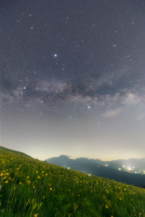 富士見台のニッコウキスゲと星空