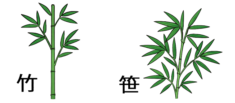 竹と笹の違い