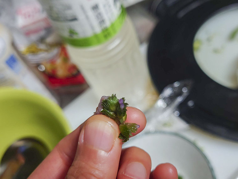 ホトケノザを食べる
