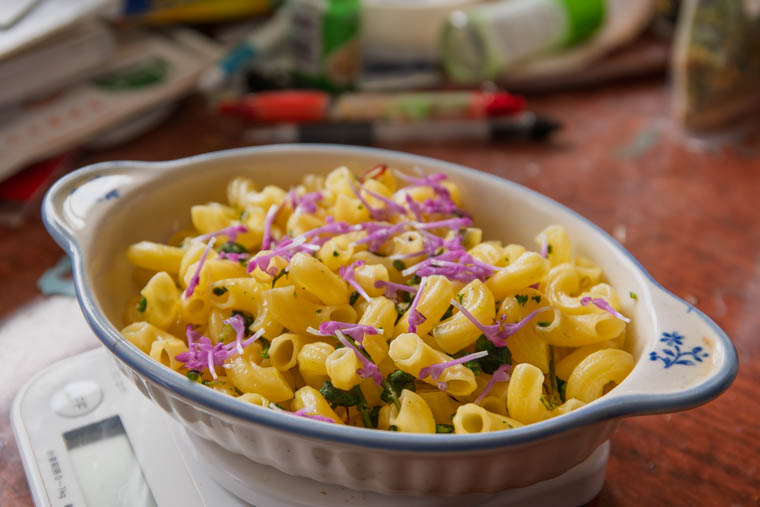 ホトケノザを食べる