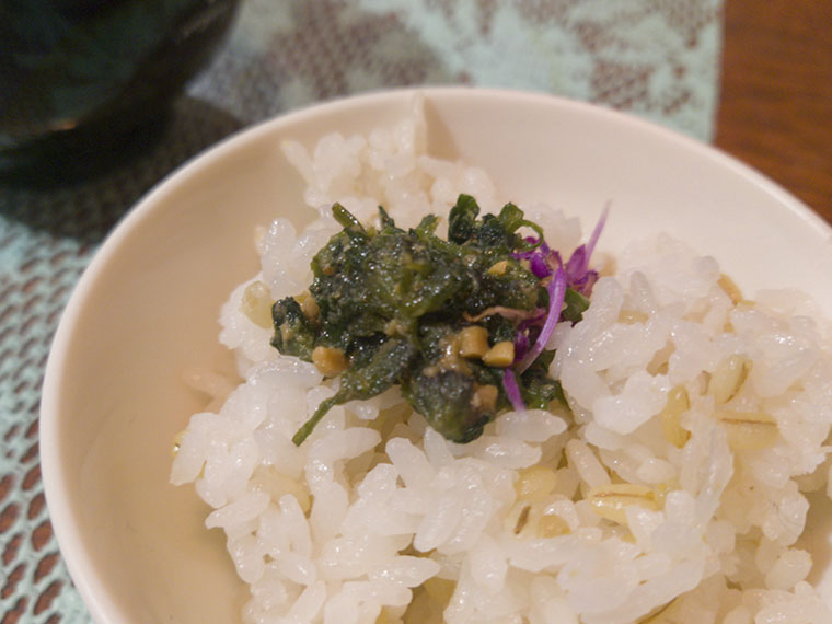 ホトケノザを食べる