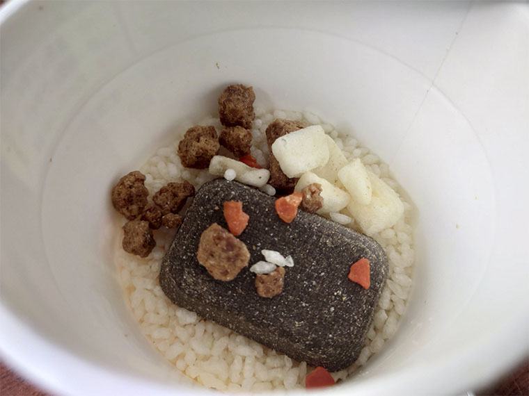 カレーメシ内容