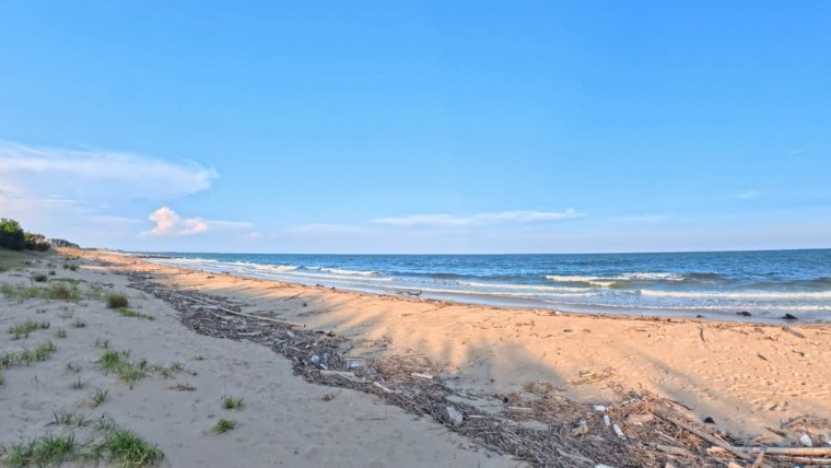 中別保の海岸